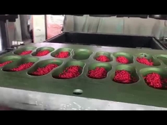 Hoogwaardig EVA-materiaal Kleurrijke granulaten pellet schoenen maken